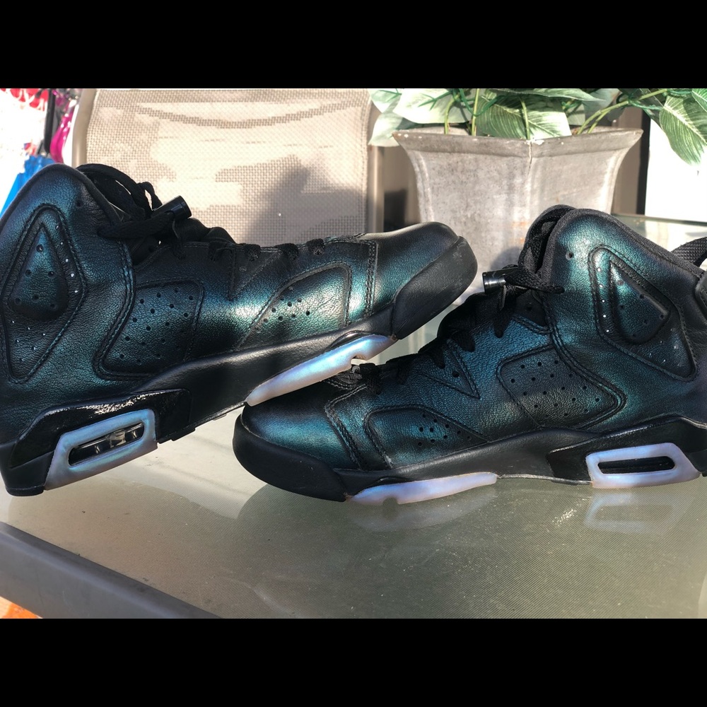 air jordan 6 retro chameleon
